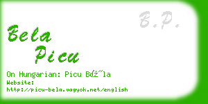 bela picu business card